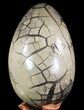 Masive, Septarian Dragon Egg Geode - Black Crystals #64874-3